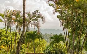 Oya - Wellness Eco Resort & Retreat