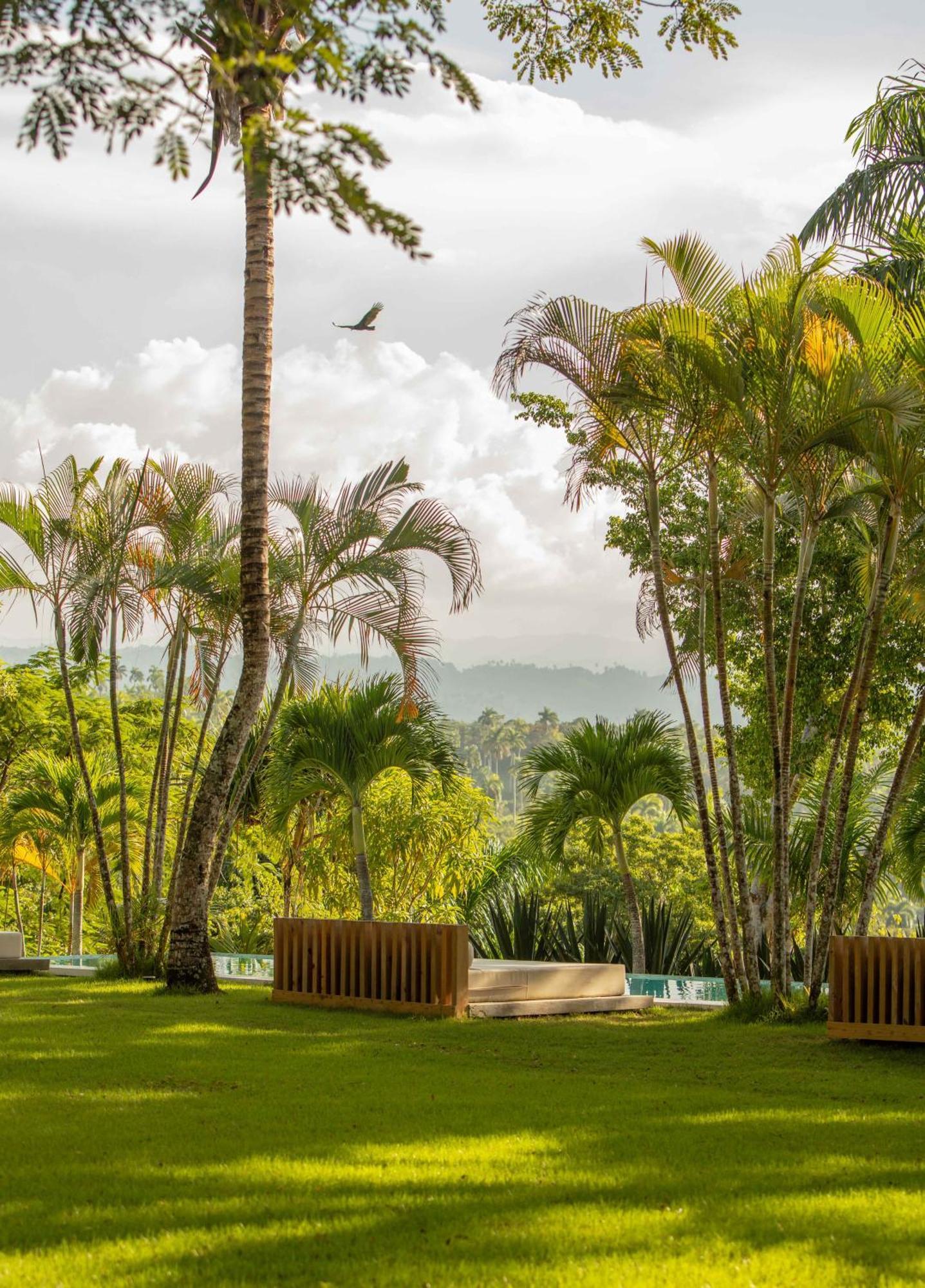Oya - Wellness Eco Resort & Retreat Jamao al Norte Extérieur photo